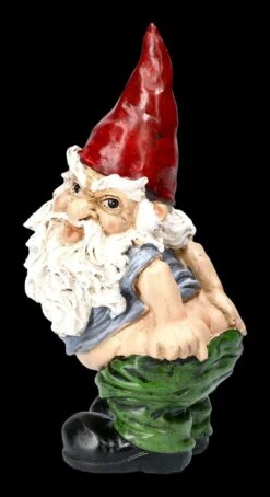 Gartenzwerg Figur Lässt Hose Runter -Charaktermodell Geschäft 2D FS23302 Gartenzwerg lasst Hose runter 6 1280x1280
