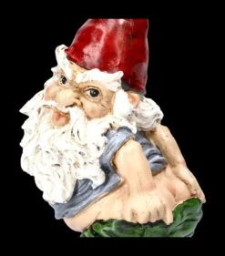 Gartenzwerg Figur Lässt Hose Runter -Charaktermodell Geschäft 2D FS23302 Gartenzwerg lasst Hose runter 7 1280x1280