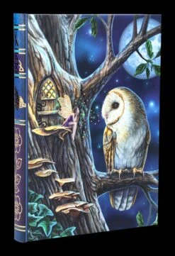 Notizbuch Eule Mit Elfe - Fairy Tales -Charaktermodell Geschäft 2D FS24500 Notizbuch Eule mit Elfe Fairy Tales 6 1280x1280