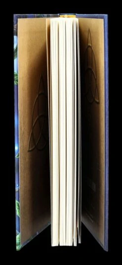 Notizbuch Eule Mit Elfe - Fairy Tales -Charaktermodell Geschäft 2D FS24500 Notizbuch Eule mit Elfe Fairy Tales 8 1280x1280