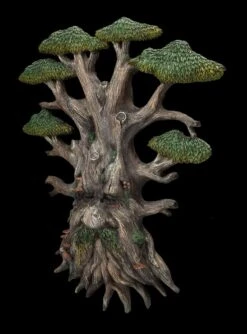 Wandrelief - Greenman Knollnase -Charaktermodell Geschäft 2D FS24514 Wandrelief Greenman Knollnase 7 1280x1280