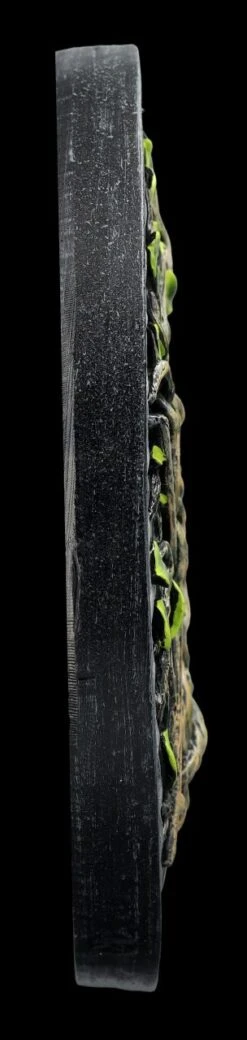 Wandrelief - Pentagramm Und Lebensbaum -Charaktermodell Geschäft 2D FS24618 Wandrelief Pentagramm mit Lebensbaum 9 1280x1280