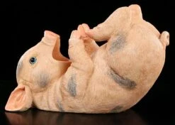 Schwein Als Flaschenhalter -Charaktermodell Geschäft 4617 4 bottle holder 4 1280x1280