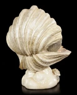 Baby Figur - Schlafend In Muschel -Charaktermodell Geschäft Baby Figur Schlafend In Muschel 3 1280x1280