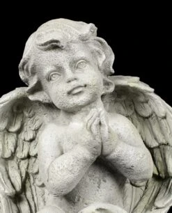 Engel Gartenfigur - Junge Betend -Charaktermodell Geschäft Engel Gartenfigur Junge Schaut Zum Himmel 6 1280x1280