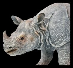 Gartenfigur - Nashorn -Charaktermodell Geschäft FS21341 Gartenfigur Nashorn 9 1280x1280