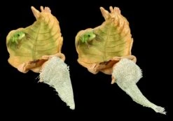 Pixie Kobold Figur - Blätter Bett 2er Set -Charaktermodell Geschäft FS24657 Pixie Kobold Figur Blatter Bett 2er 4 1280x1280