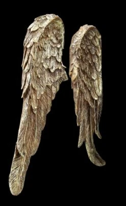 Wanddeko - Engelsflügel Goldfarben -Charaktermodell Geschäft FS25585 Wanddeko Engelsfl gel goldfarben 2 1280x1280