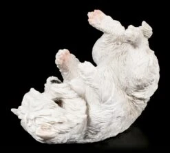 Flaschenhalter - West Highland Terrier 11 Flaschenhalter - West Highland Terrier -Charaktermodell Geschäft Flaschenhalter West Highland Terrier 4 1280x1280