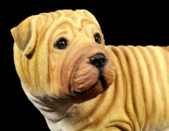 Gartenfigur Hund - Shar-Pei -Charaktermodell Geschäft Gartenfigur Hund Shar Pei Stehend 5 1280x1280