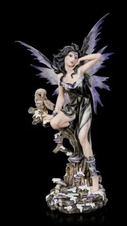 Große Fee - Noctua Mit Eule