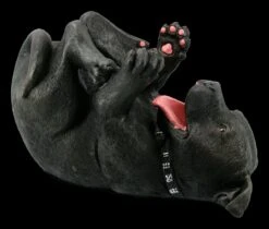 NEMESIS NOW Staffordshire Bullterrier Figur Als Flaschenhalter -Charaktermodell Geschäft KS4966 Staffordshire Bullterrier Figur als Flaschenhalter 27E5etONomnRwN 1280x1280