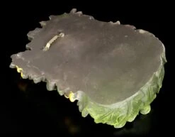 Waldgeist Wandrelief - Elderwood -Charaktermodell Geschäft Waldgeist Wandrelief Elderwood 3 1280x1280