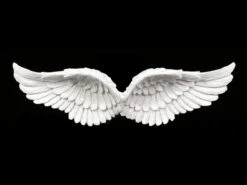 Wandrelief - Engelsflügel Mit Glitter